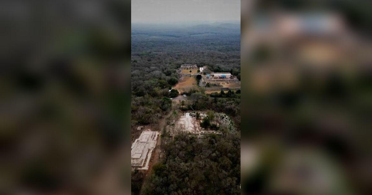 Dua Rumah Ditemukan di Tengah Hutan, Salah Satunya Mirip Istana