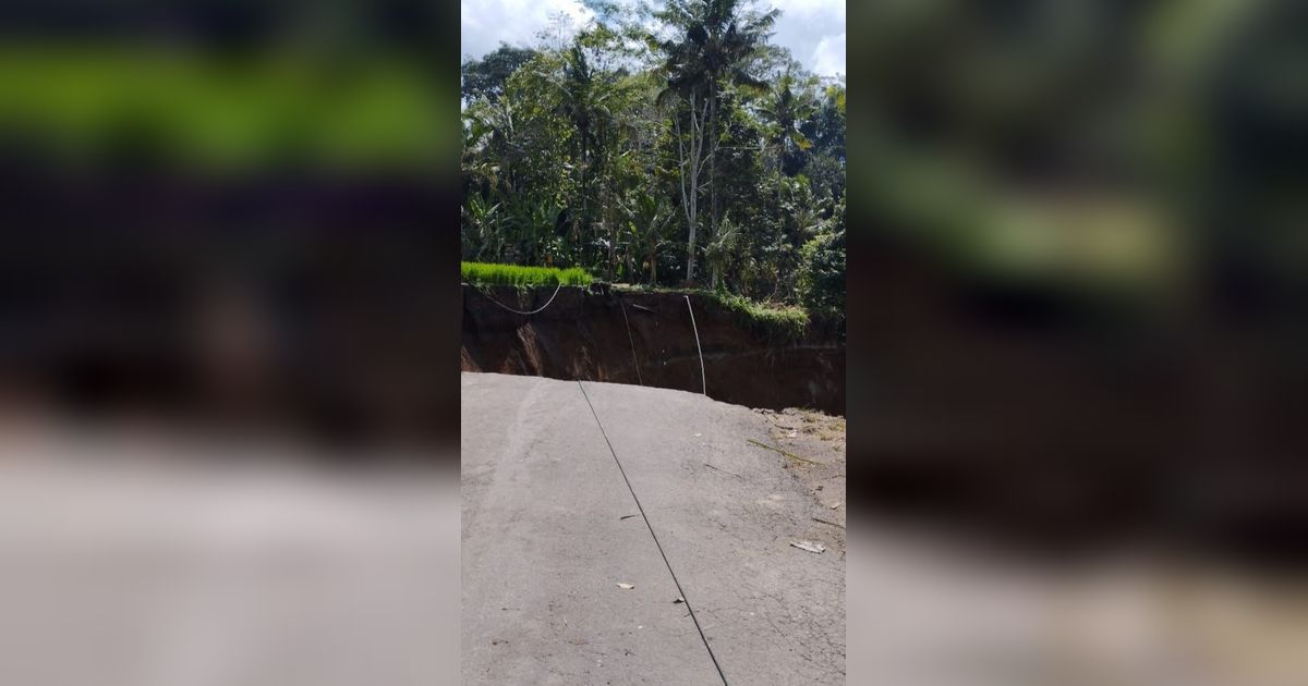 Penampakan Jalan di Kawasan Wisata di Tegallalang- Tampaksiring Bali Amblas 50 Meter, Ini Penyebabnya