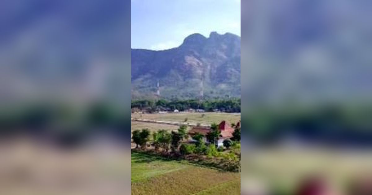 Megahnya Rumah Milik Bupati Wonogiri, Lokasinya Ada di Tengah-tengah Hamparan Sawah Luas