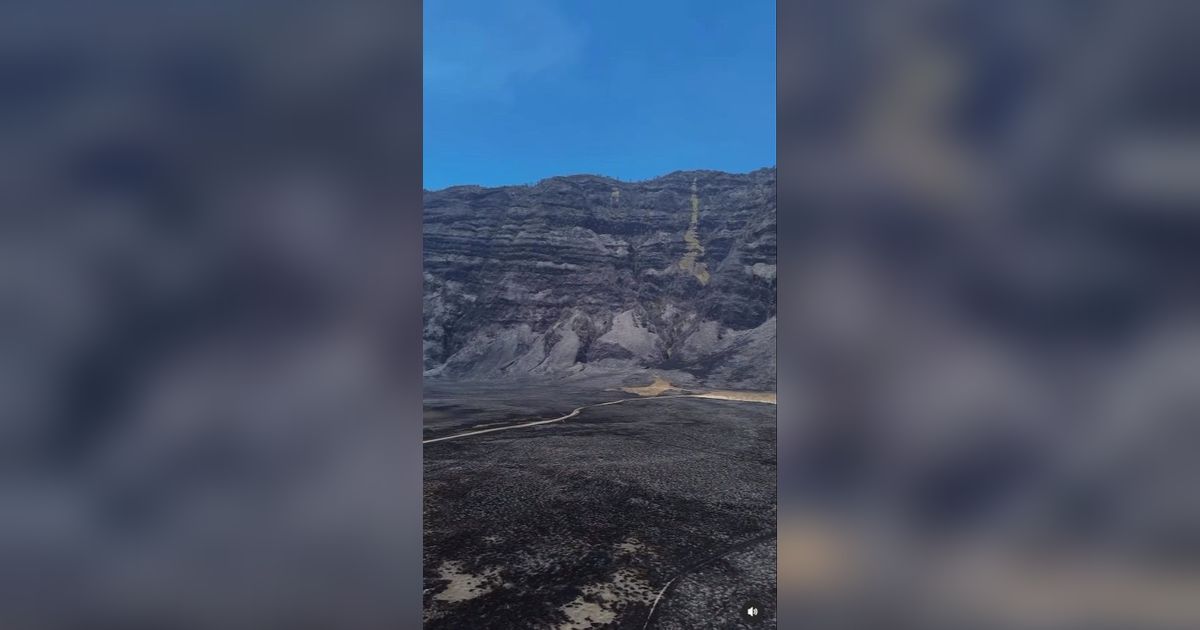 Potret Terkini Padang Savana Bromo Usai Terbakar, Pemandangan Hijau Berubah jadi Hitam dan Penuh Abu