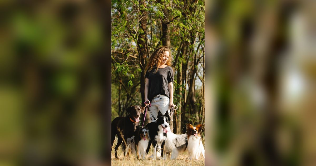 The 5 Dog Breeds You Shouldn T Own If You Re A Dog Lover And Why The 5 Dog Breeds You Shouldn T Own If You Re A Dog Lover And Why