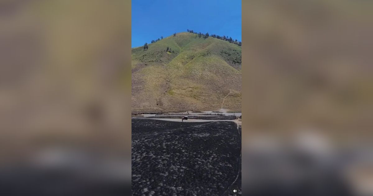 Ngaku Sudah Padamkan Api, WO dan Calon Pengantin Salahkan Angin Kencang dan Rumput Kering Bromo