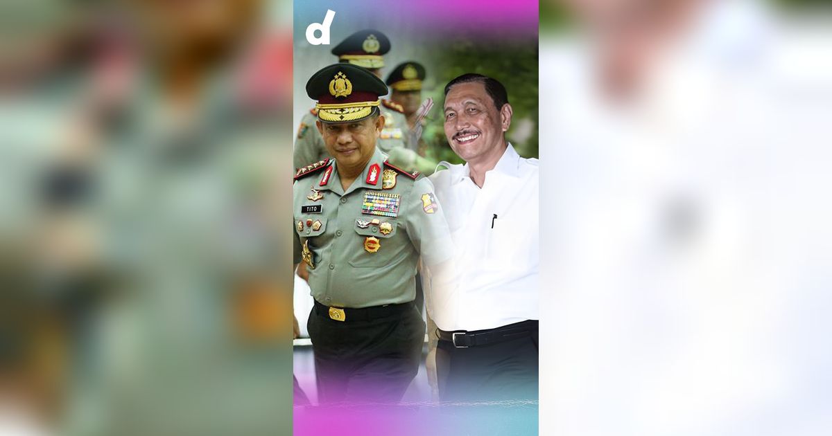 6 Potret Rumah Jenderal yang Kini Jadi Menteri Jokowi, Milik Luhut Bak Villa Mewah