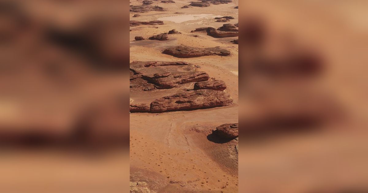 Ribuan Tulang Hewan dan Manusia Berusia 7.000 Tahun Ditemukan di Arab Saudi, Ternyata untuk Ritual