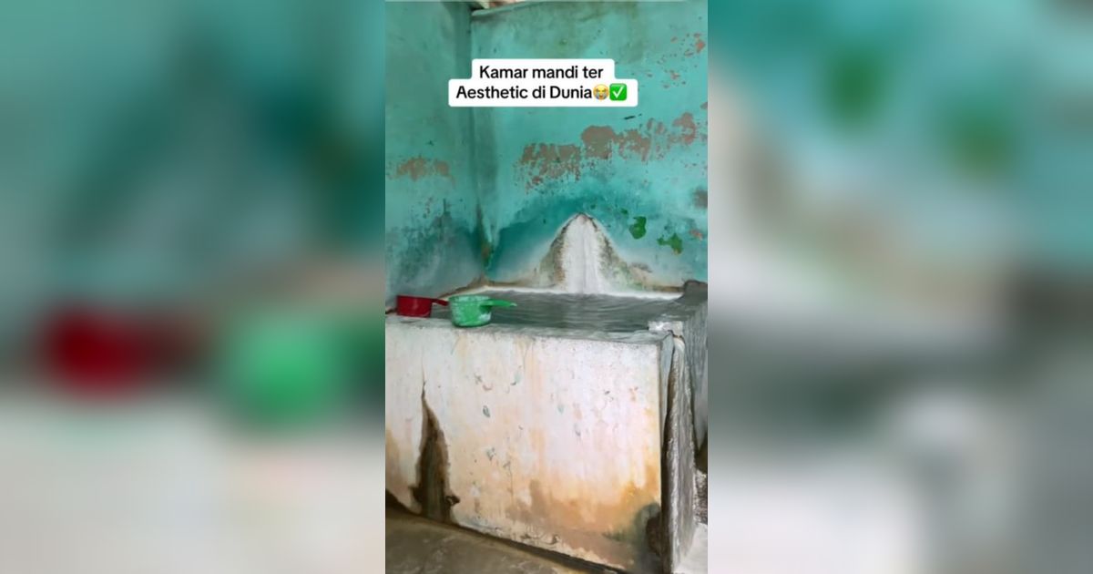 Viral Potret Kamar Mandi Diklaim Paling 'Estetik' di Dunia, Pas Masuk Bikin Penggunanya Kecele!