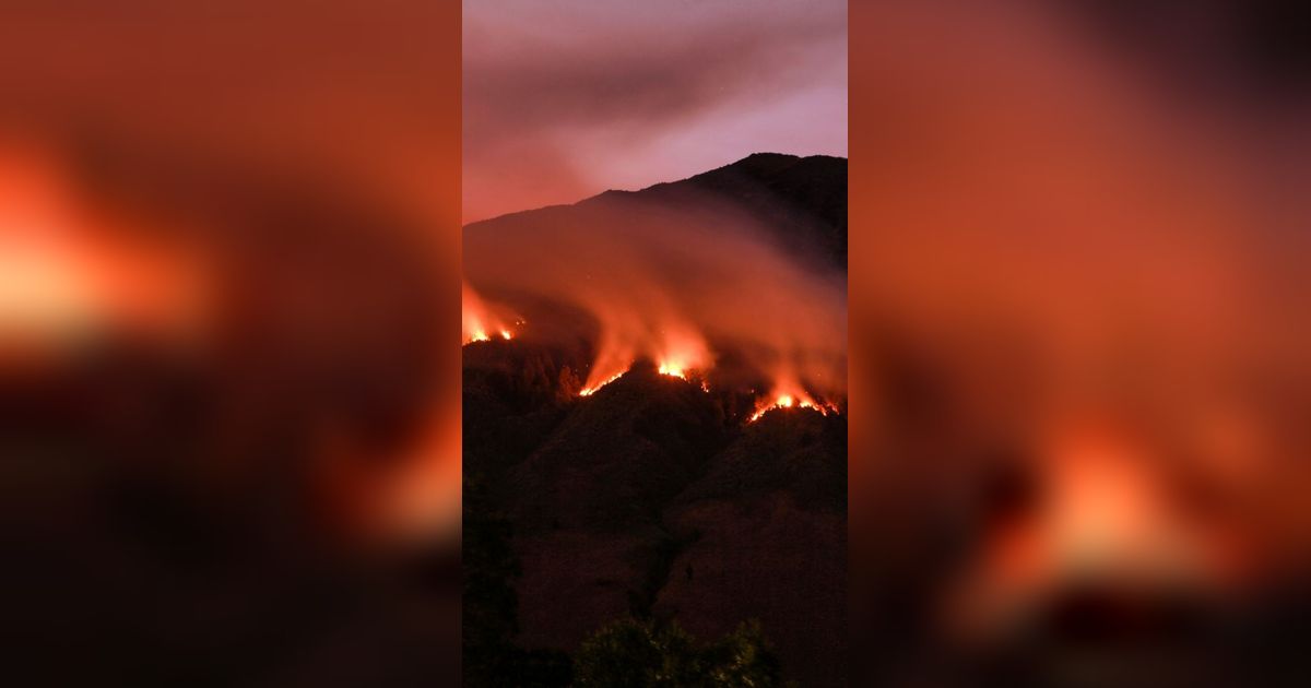 Kuasa Hukum Tersangka Kebakaran Bukit Teletubbies Bakal Laporkan Balik Pengelola Gunung Bromo