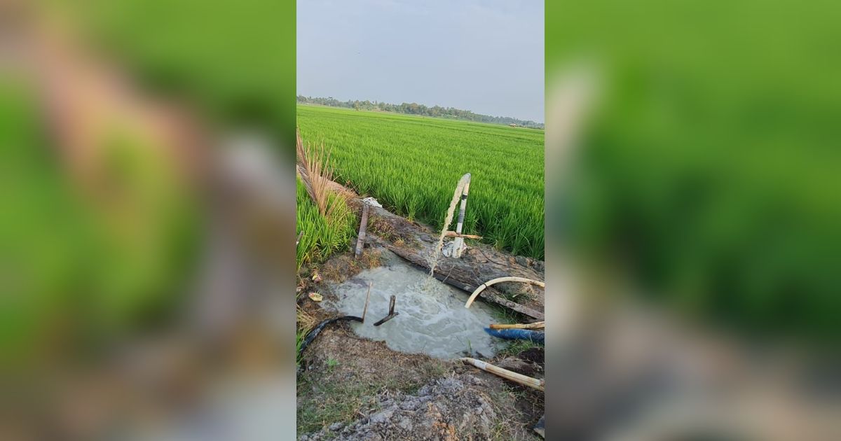 Selamatkan 5.500 Ha Sawah, Kementan Bantu Lampung Selatan 20 Unit Pompa Air Submersible.