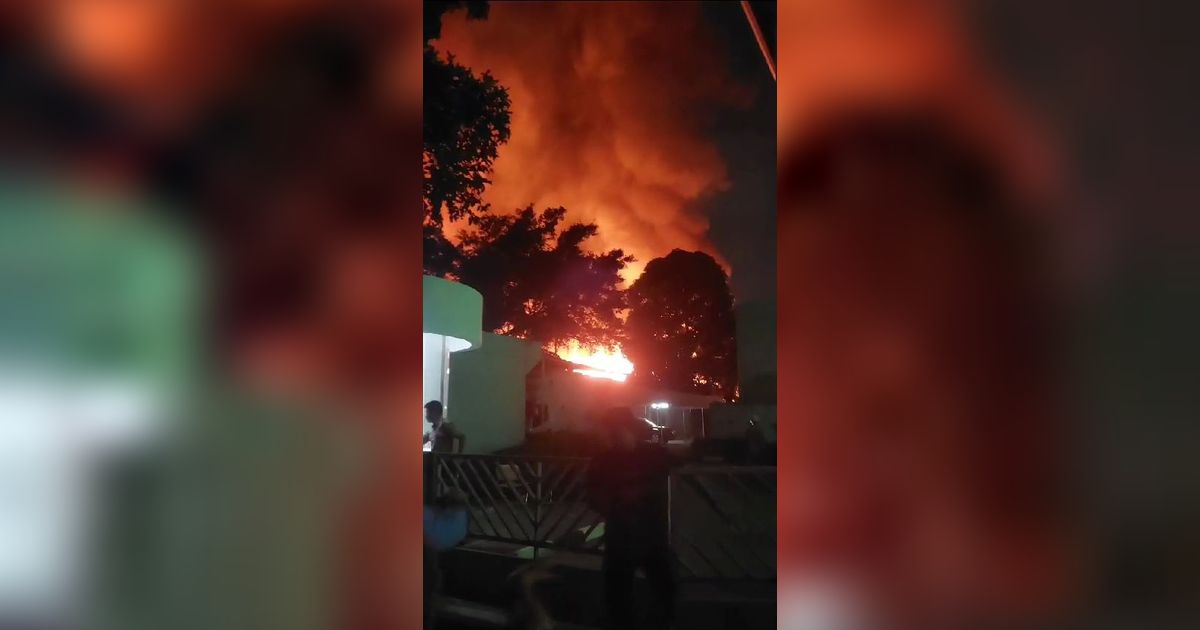 Kebakaran Museum Nasional, Empat Ruangan Penyimpanan Benda Prasejarah Terbakar