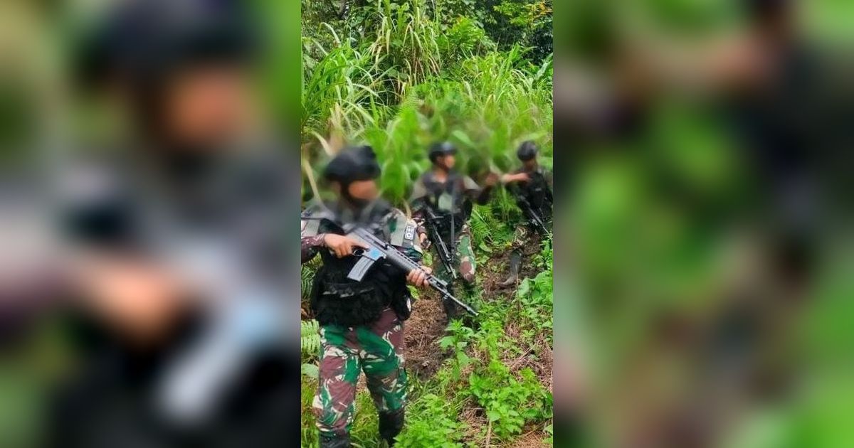 Belah Hutan-Lewati Sungai, Pasukan TNI Tewaskan 5 KKB saat Kontak Tembak di Pegunungan Papua