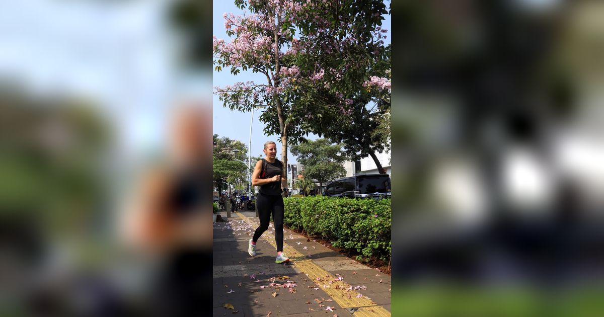 Jakarta Rasa Tokyo: Bunga Tabebuya Bermekaran di Kemang Raya