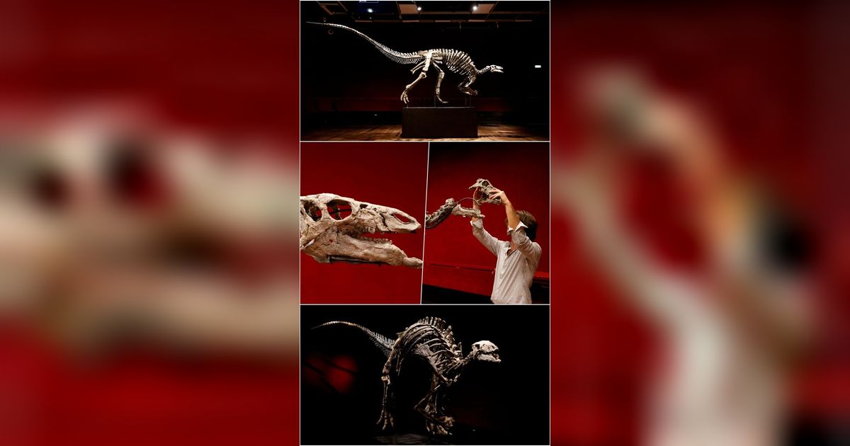 FOTO: Penampakan Kerangka Dinosaurus Berusia 150 Juta Tahun yang Dilelang Rp19 Miliar di Paris