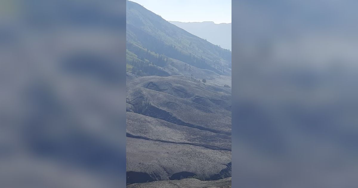 Pasca-Kebakaran akibat Foto Prewed Flare, Wisata Gunung Bromo Dibuka Malam Ini