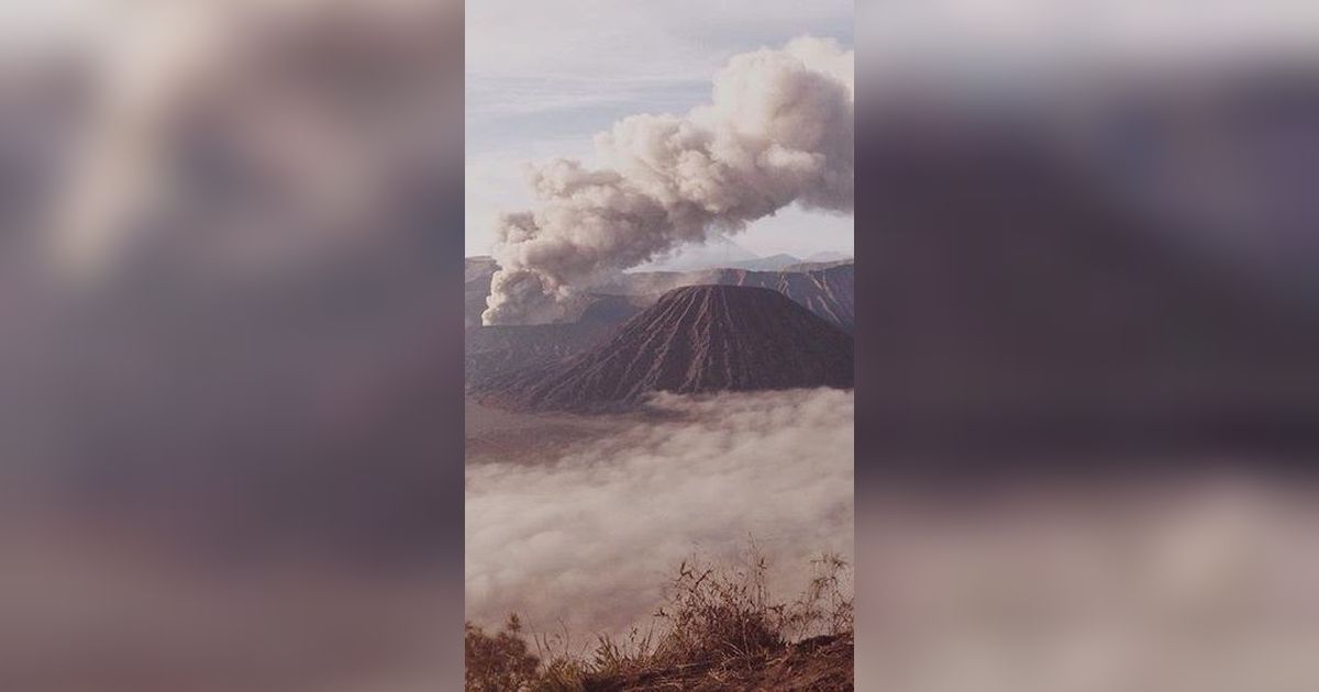 Kebakaran Bromo dan Pengelolaan Taman Nasional di Indonesia