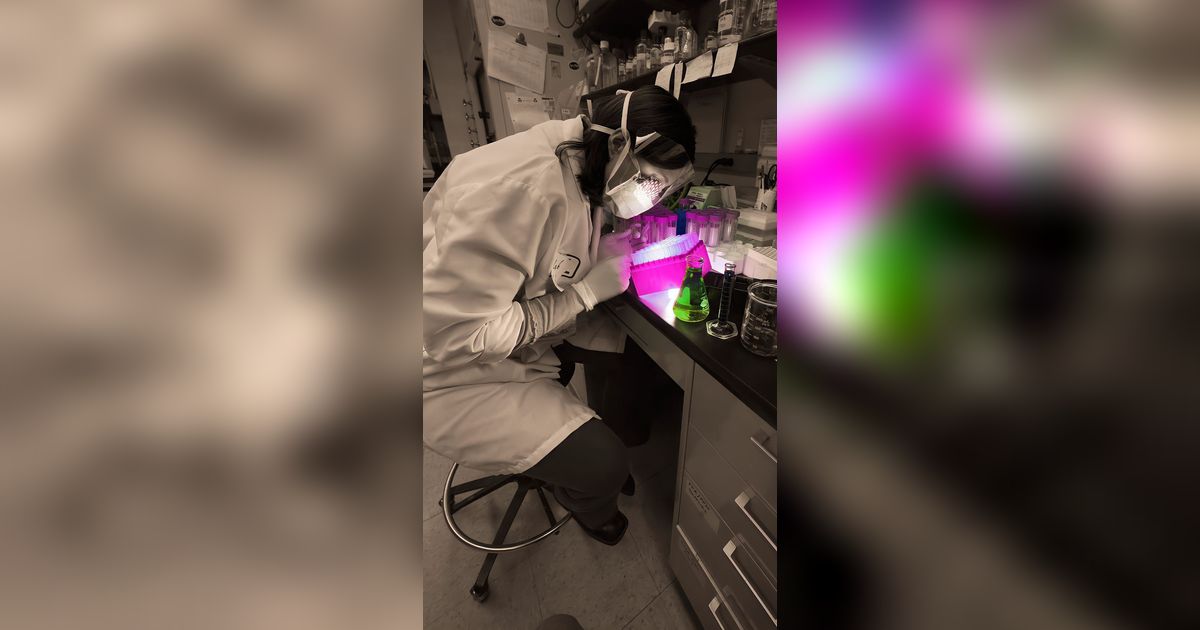 Kisah Nyata Dokter Forensik Dapat Temuan Mengejutkan Saat Tes DNA Jenglot, Berasal dari Manusia yang Gagal Belajar Ilmu Hitam?