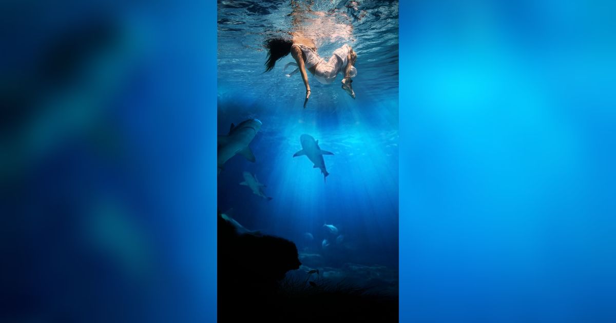 Detik-Detik Pria Dikepung dan Digigit Hiu Saat Menyelam, Niat Pamer Berujung Nyaris Kehilangan Nyawa