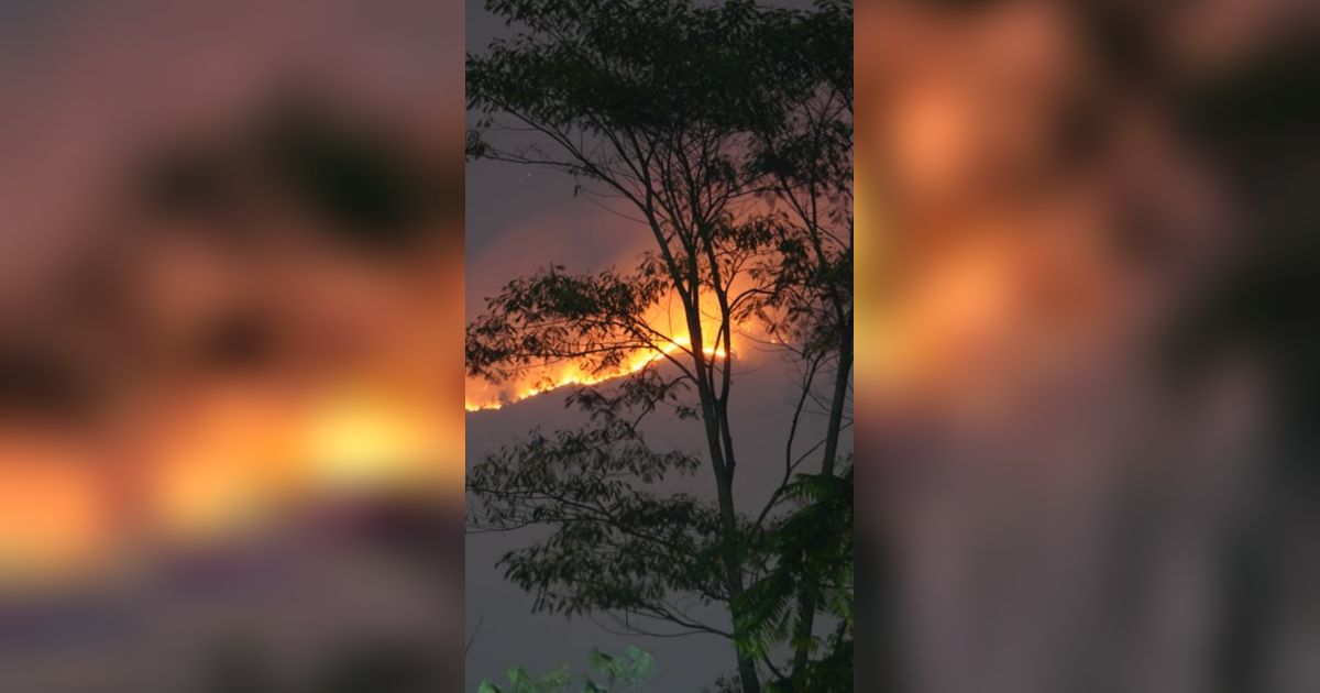 Dampak Kebakaran Hutan TNBTS, Objek Wisata B29 Lumajang Ditutup