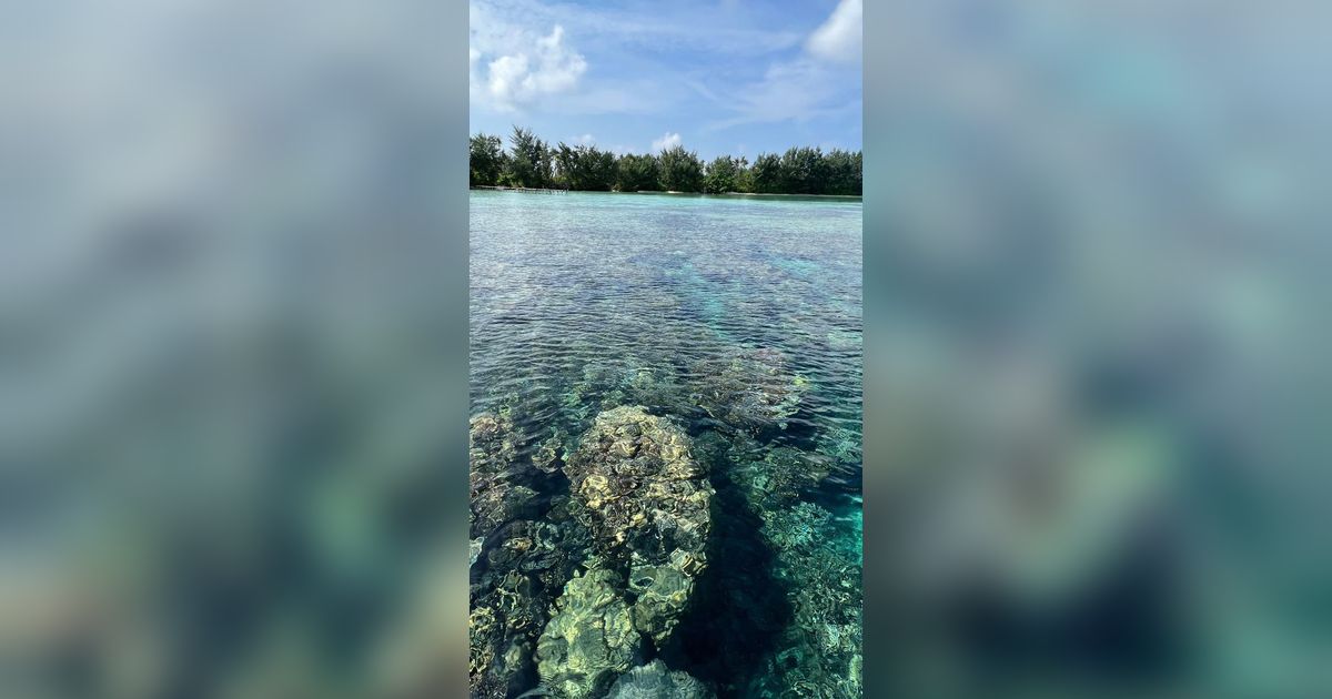 Wisata Karimun Jawa, Pulau Tersembunyi, dan Musim Terbaik Mengunjunginya