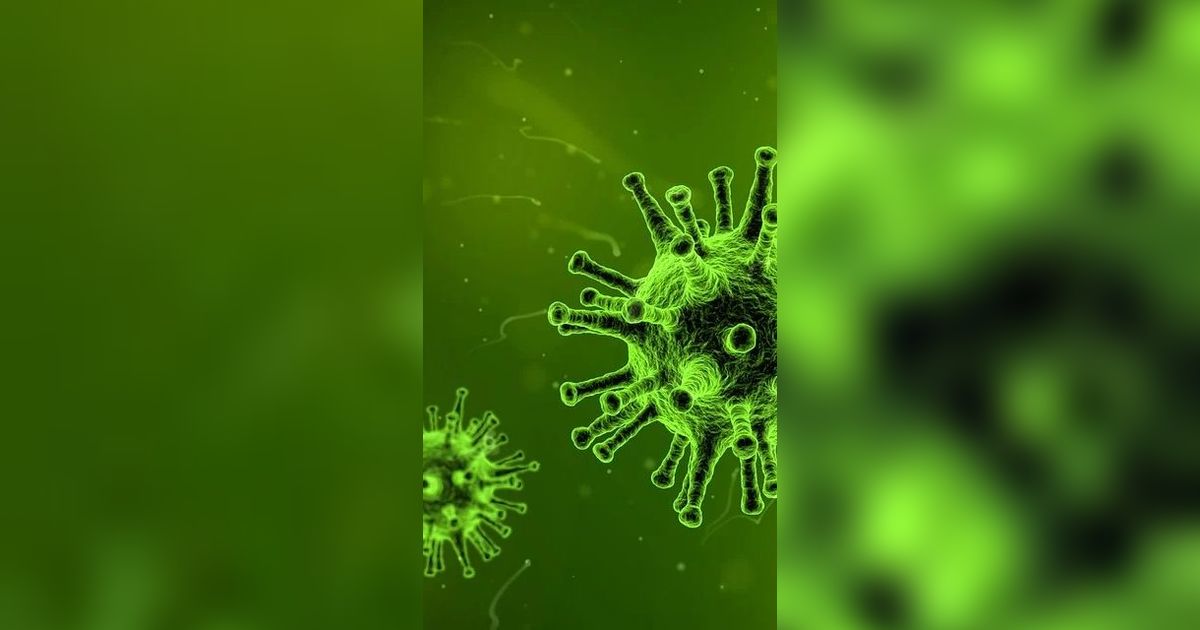 Cara Penularan Virus Nipah antar Manusia, Ketahui Ciri-ciri Orang yang Terinfeksi