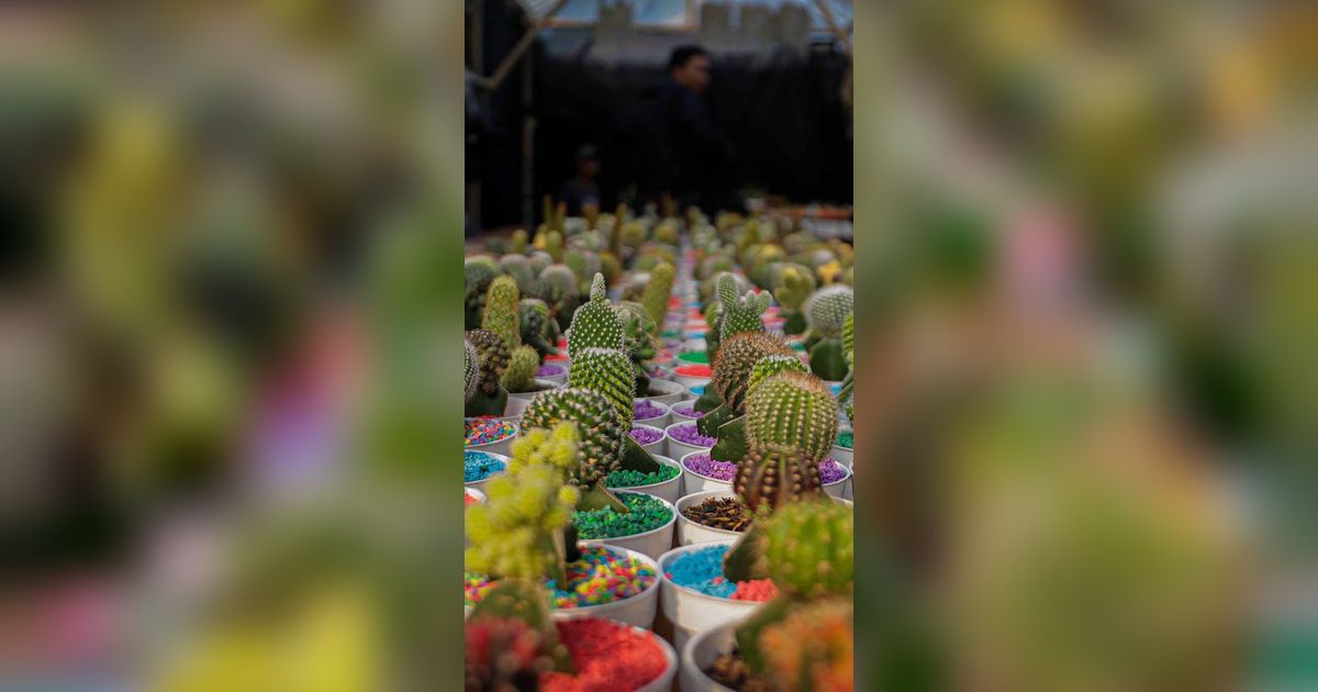 FOTO: Mengunjungi Pameran Flona 2023 di Lapangan Banteng, Hadirkan Aneka Flora dan Fauna