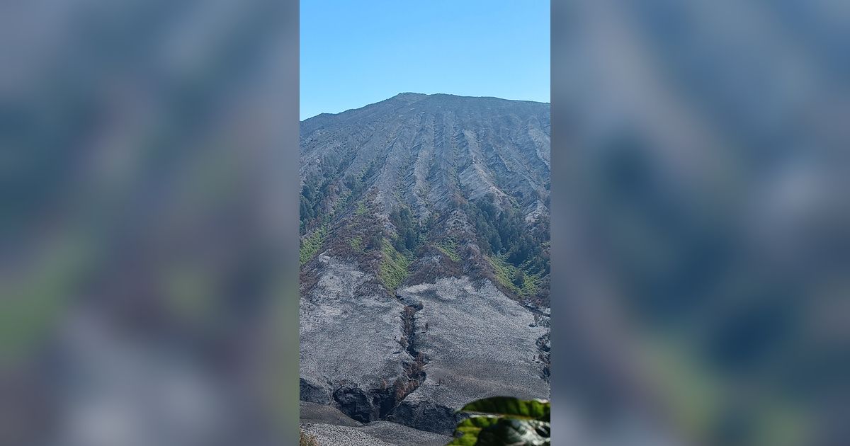 Dibuka Kembali Usai Kebakaran, Begini Potret Terbaru Gunung Bromo