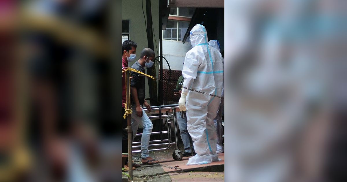 Heboh Virus Nipah, Begini Proses Penularan dan Cara Mengobatinya