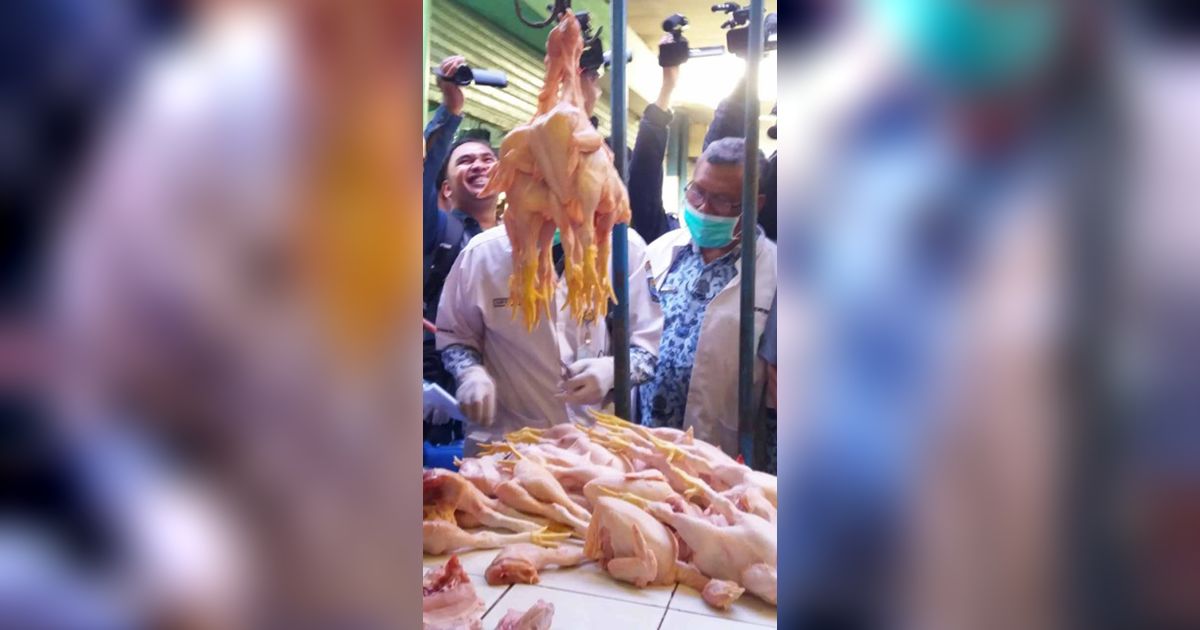 CEK FAKTA: Tidak Benar Sayap dan Leher Ayam Broiler Disuntik Hormon Penyebab Kanker