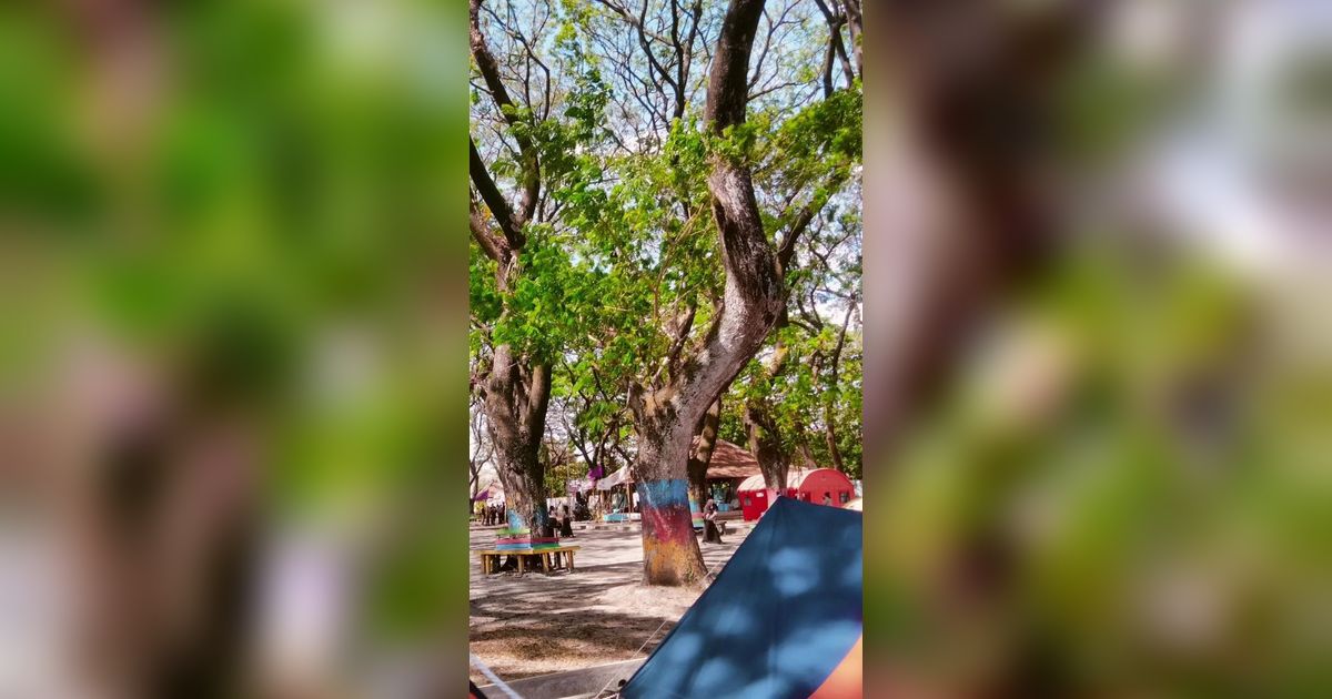 Taman Ngrowo Bening Madiun, Spot Wisata Gratis Cocok untuk Olahraga hingga Petik Buah