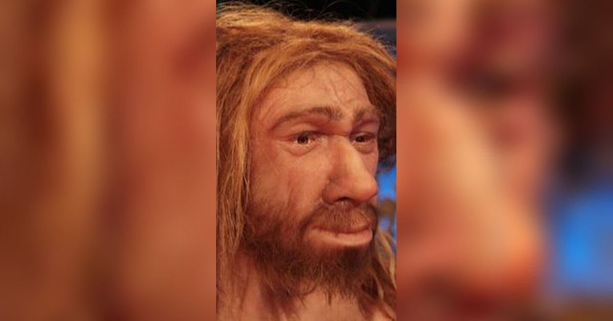 Kotak Misterius di Museum Ini Berisi Puluhan Kerangka Manusia Neanderthal yang Hidup 50.000 Tahun Lalu, Begini Bentuknya