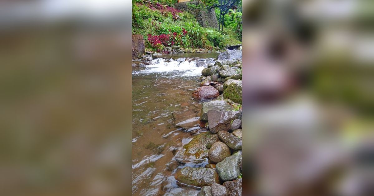 Arti Mimpi Jatuh ke Sungai Ternyata Bisa Pertanda Kebahagiaan Akan Datang