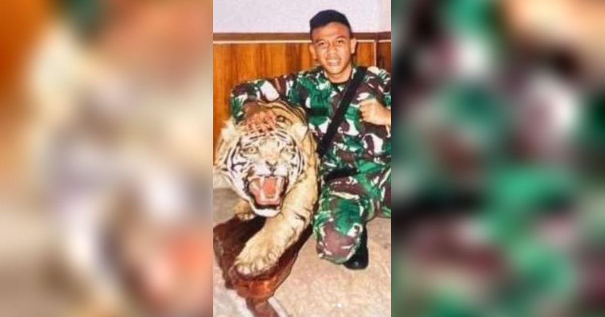 Anggota TNI Nekat Kuliti Patung Harimau Milik Komandan, Ditangkap PM Begini Nasibnya