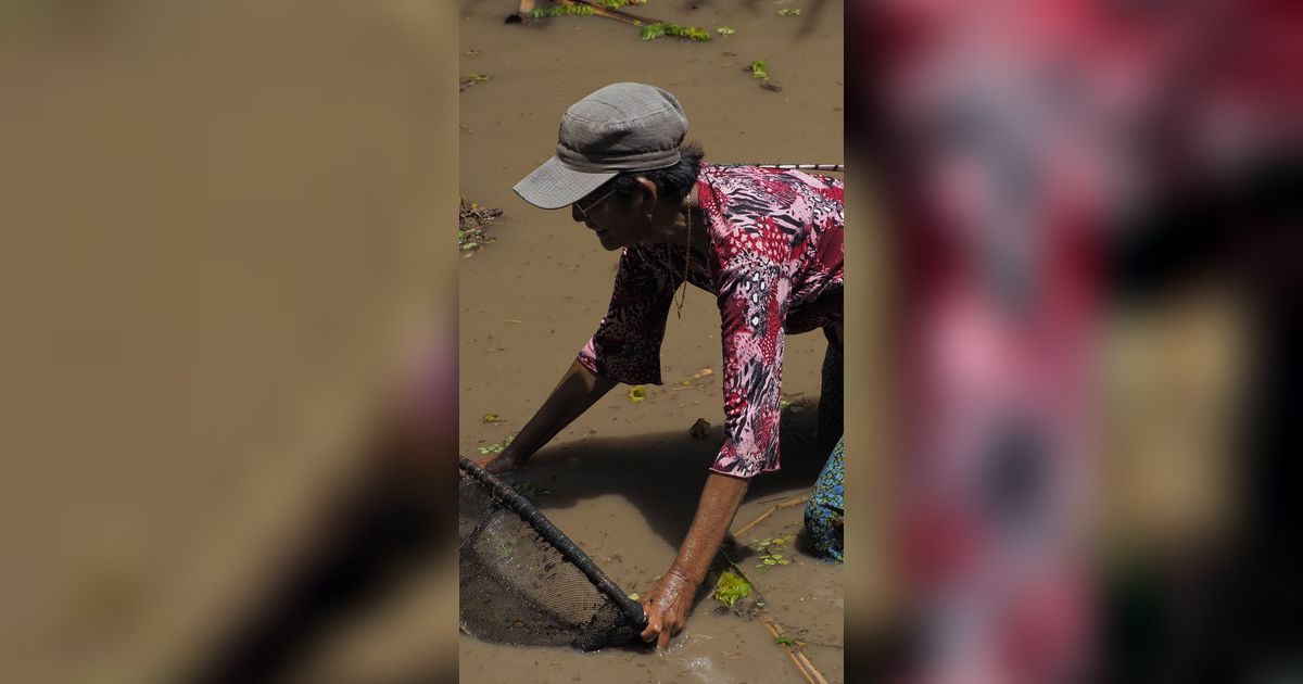 Tradisi Nirok Nanggok, Cara Masyarakat Belitung Mencari Ikan di Sungai Ketika Musim Kemarau Tiba