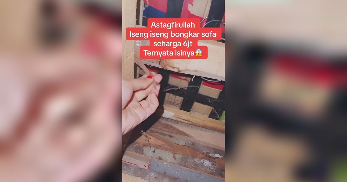 Iseng Bongkar Sofa Mahal Rp6 Juta Dikira Ada Ularnya, Pas Lihat Dalamnya Bikin Dada Nyesek