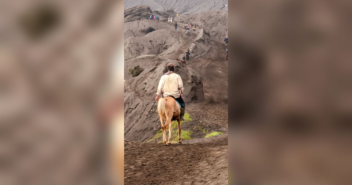 Potensi Kerugian Akibat Kebakaran di Kawasan Wisata Bromo Hampir Rp90 Miliar