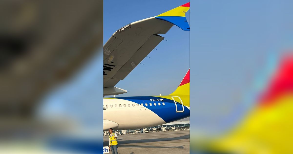 Mengintip Kecanggihan Airbus A320, Pesawat ke 8 dari Pelita Air