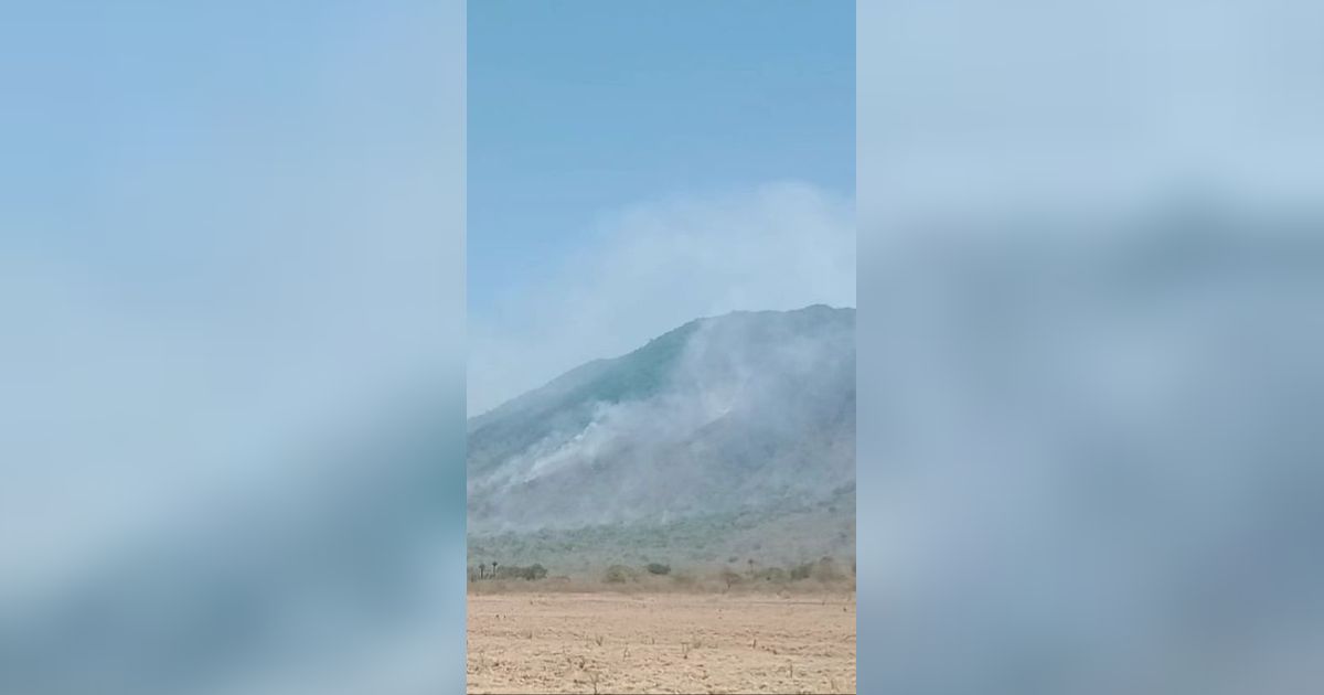 Kondisi Terkini Kebakaran Hutan Taman Nasional Baluran, Tutup untuk Wisatawan hingga Akhir September