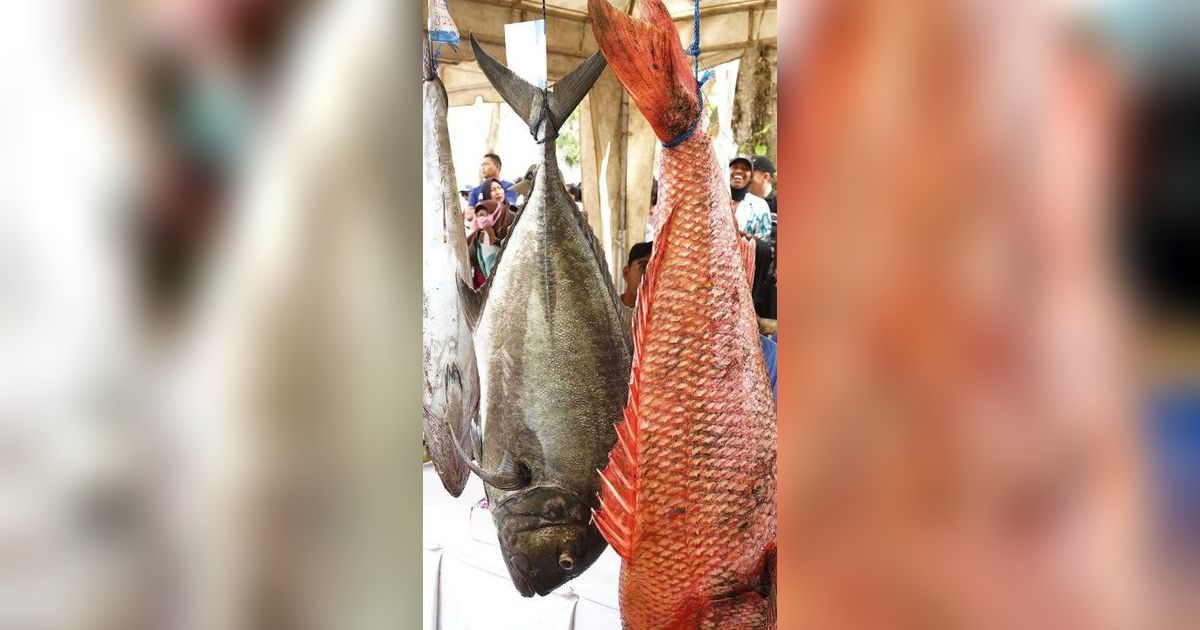 Ratusan Pemancing dari Berbagai Negara Adu Skill di Grajagan Fishing Festival Banyuwangi