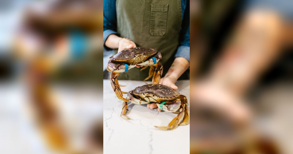 7 Tafsir Mimpi Kepiting Menurut Primbon Jawa, Sering Dikaitkan Pertanda Baik