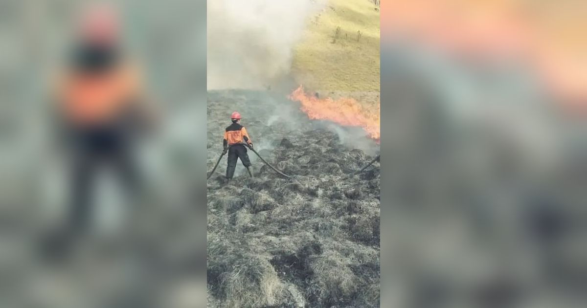 Potret Terbaru Kawasan Bromo Kebakaran, Sebagian Objek Wisata Ditutup