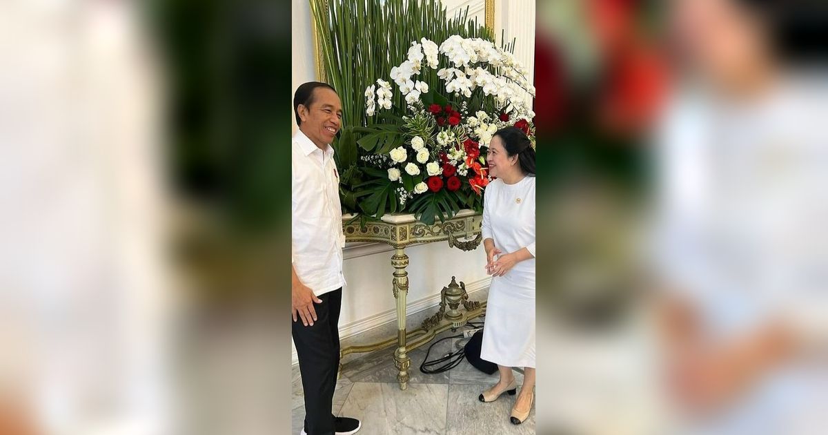 Bertemu Jokowi di Istana, Puan Maharani: Kira-kira Ngobrolin Apa Ya?