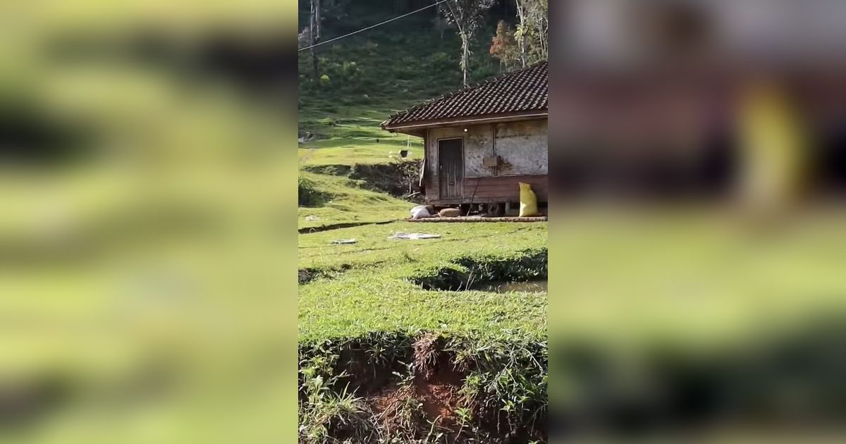 Kampung Naringgul di Cianjur Disebut Mirip Pegunungan Alpen Swiss, Yuk Intip Potret Indahnya