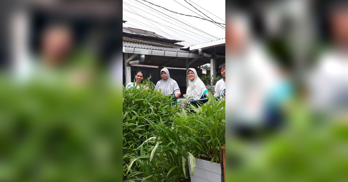 PNM Ajak Nasabah Mekaar Studi Banding Budidaya Tanaman Hortikultura