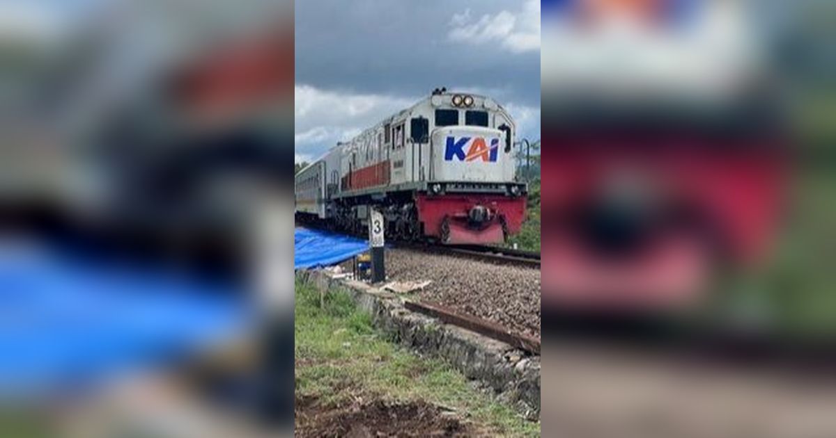 KAI Beri Diskon Tiket Kereta Hingga 20 Persen untuk Penumpang Disabilitas, Ini Caranya