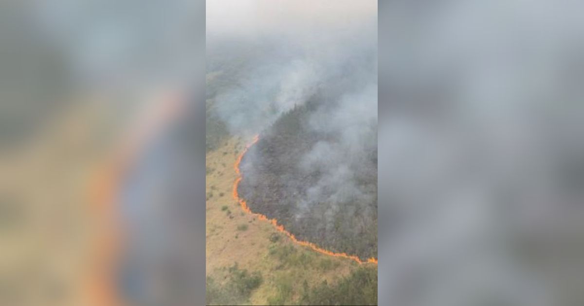 Kebakaran Gunung Arjuno-Welirang Meluas, Akses Wisata Alam Ditutup