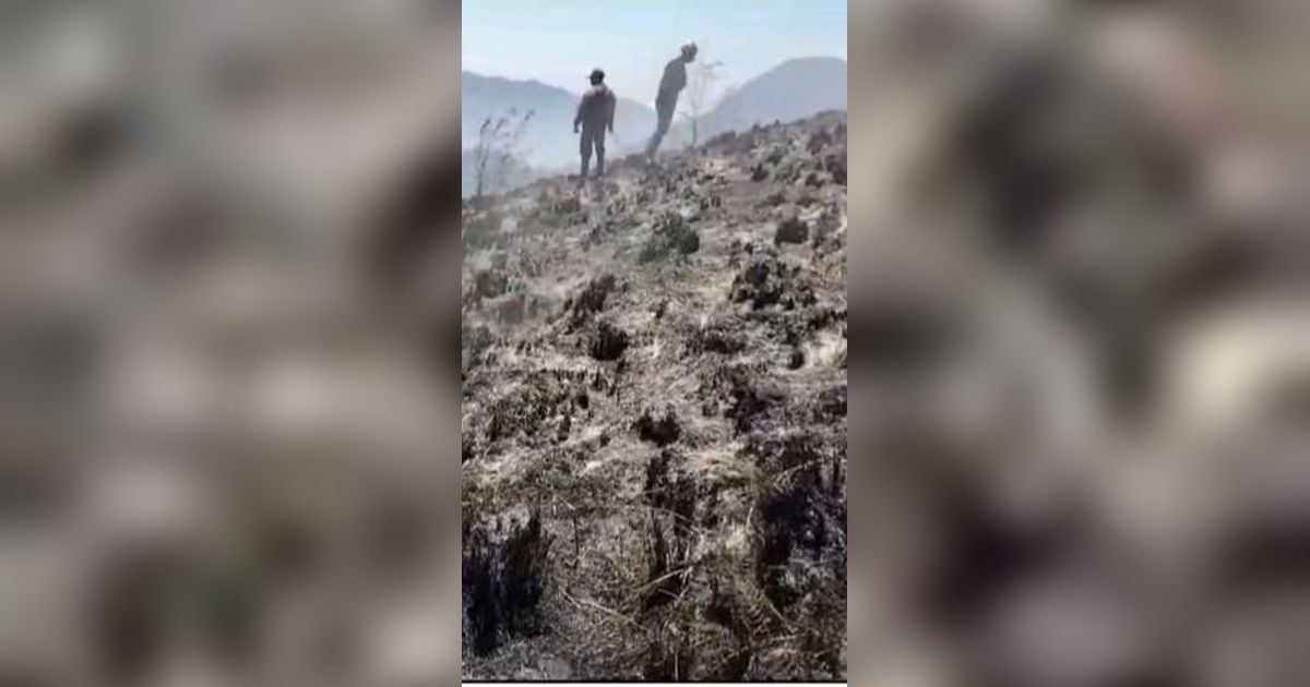 Kebakaran di Taman Nasional Bromo Tengger Semeru Padam, Total 661 Hektare Lahan Terdampak