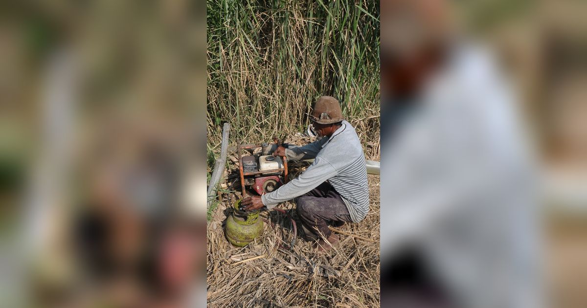 FOTO: Petani Konversi Pompa Air BBM ke Gas Elpiji untuk Aliri Sawah saat Fenomena El Nino