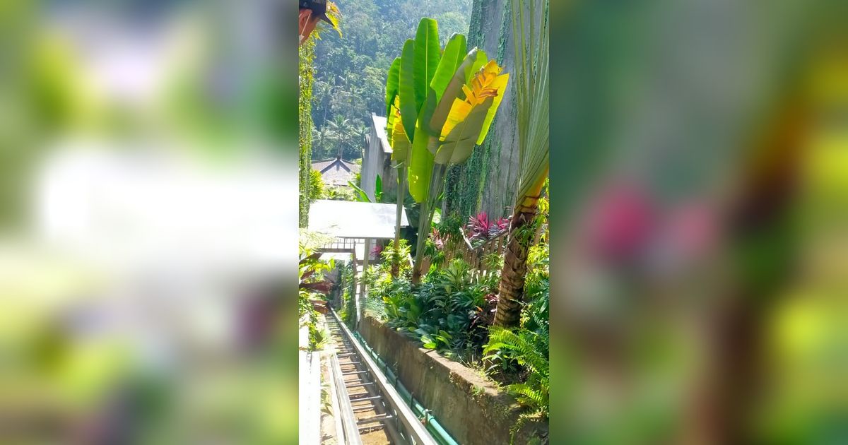 Buntut Kasus Lift Maut, Ayu Terra Resort Ubud Ditutup untuk Umum!