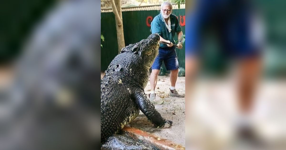 Penampakan Buaya Raksasa Berusia 120 Tahun, Pecahkan Rekor Sebagai  Buaya Terbesar di Dunia yang Masih Hidup di Penangkaran