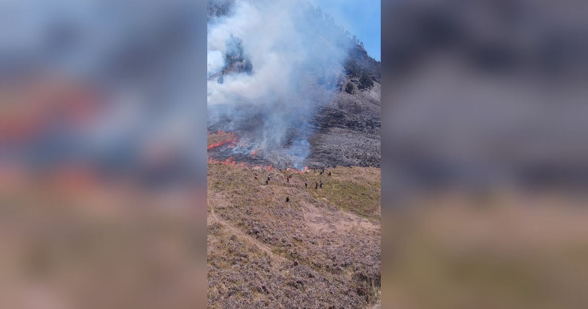 Bukit Teletubbies Bromo Terbakar Hebat Gara-Gara Acara Sesi Foto Prewedding, Pelakunya Langsung Diamankan