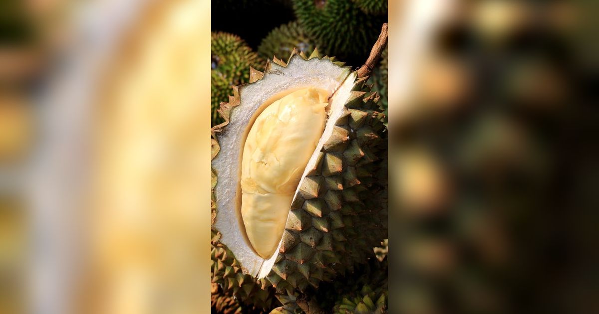 Otak Licik Penjual Durian Bikin Tercengang Pakai Alat Suntik 'Hasilnya Memuaskan'