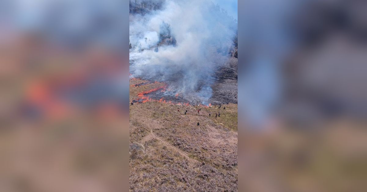 Bukit Teletubbies Terbakar Gara-Gara Flare Sesi Foto Prewedding, Wisata Gunung Bromo Ditutup Total